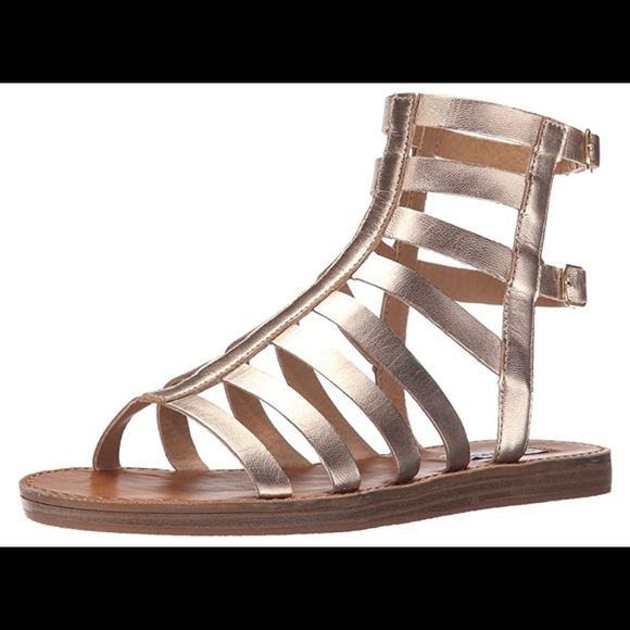 steve madden gold gladiator sandals